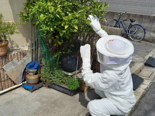 蜂の巣駆除《蜂でお困りの方、お気軽にご相談くださいませ》◎エリア外も対応可能サービスの画像