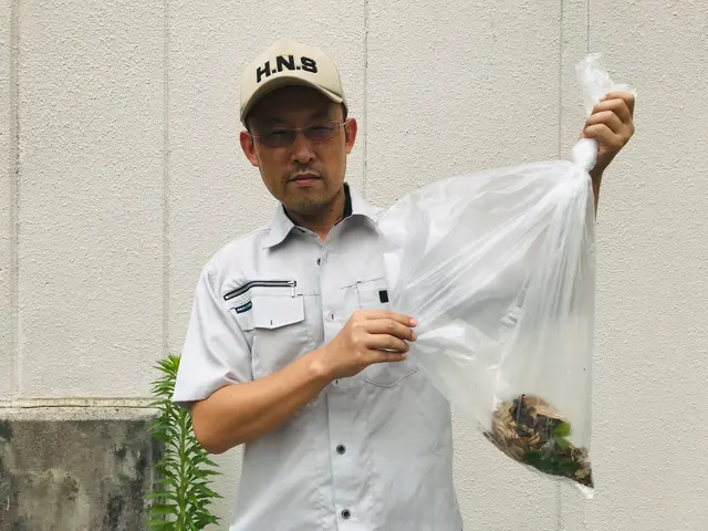 蜂の巣駆除《蜂でお困りの方、お気軽にご相談くださいませ》◎エリア外も対応可能サービスの画像