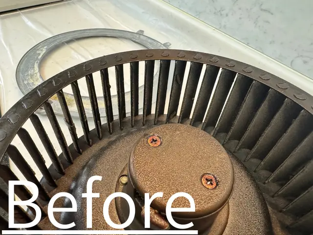 【電気工事士が施工】分解徹底洗浄！レンジフードの油汚れを根こそぎ除去サービスの画像