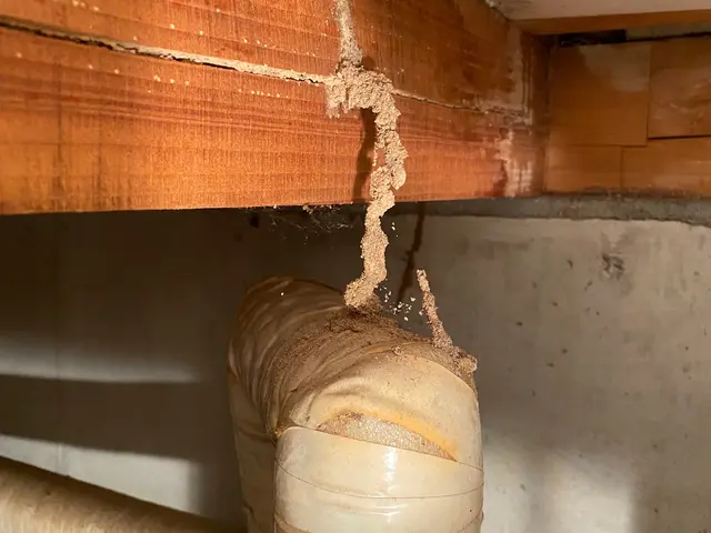 【業歴30年の経験と実績】ＮＯ.１予約から施工まで自社施工！アフターフォロー万全サービスの画像