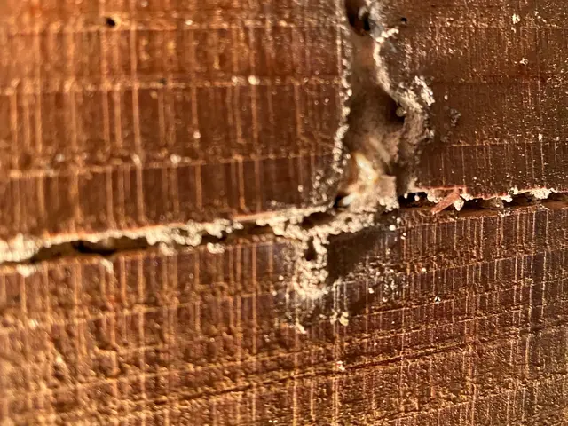 【業歴30年の経験と実績】ＮＯ.１予約から施工まで自社施工！アフターフォロー万全サービスの画像