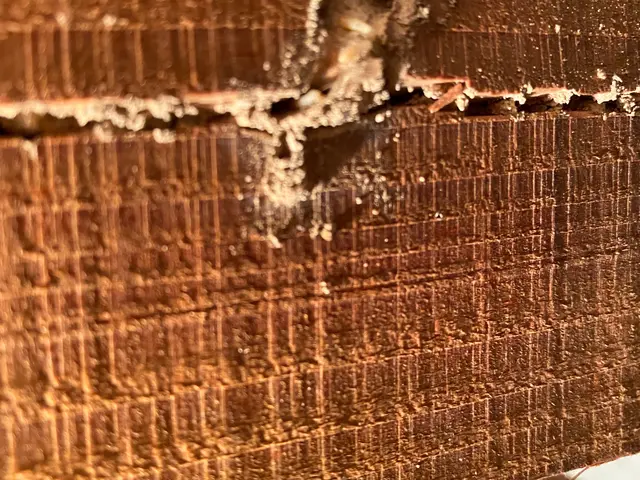 【業歴30年の経験と実績】ＮＯ.１予約から施工まで自社施工！アフターフォロー万全サービスの画像