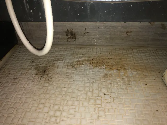 【天然植物エコ洗剤使用】ハウスクリーニング士在籍◎作業外注なし！年中無休◆サービスの画像