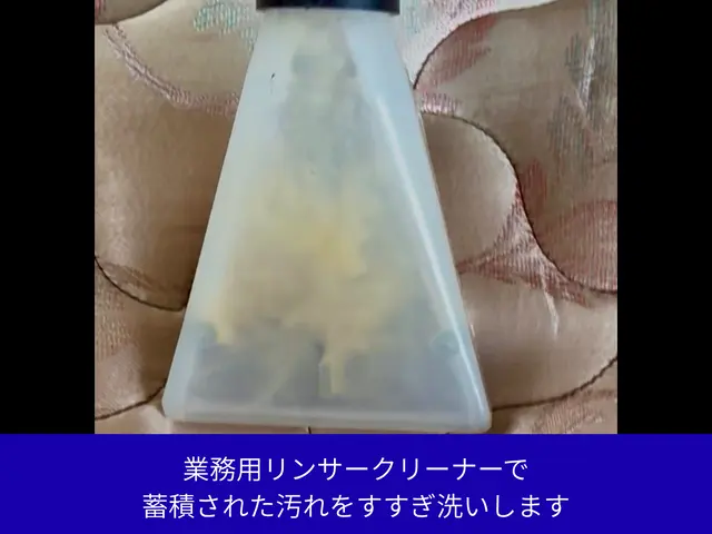 【基本料金に消臭・シミ取りも含みます】【本格機材・多種ケミカル】【夜間対応歓迎】サービスの画像