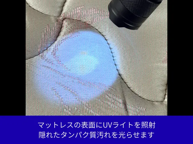 【基本料金に消臭・シミ取りも含みます】【本格機材・多種ケミカル】【夜間対応歓迎】サービスの画像