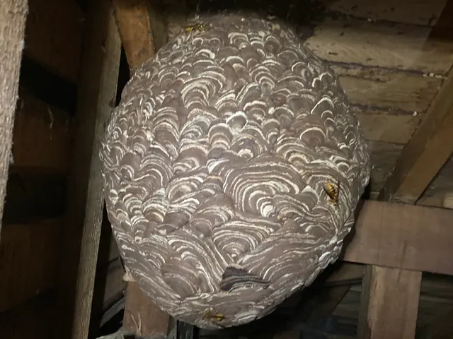 安心安全な作業いたしますサービスの画像