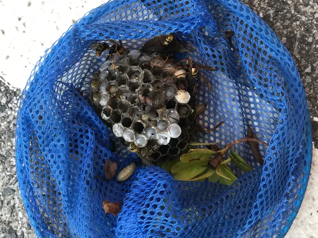 プロの技術でご満足いただけるように心を込めて作業いたしますサービスの画像