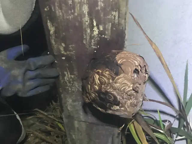 プロの技術でご満足いただけるように心を込めて作業いたしますサービスの画像