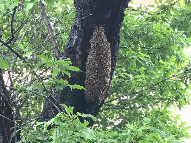 プロの技術でご満足いただけるように心を込めて作業いたしますサービスの画像