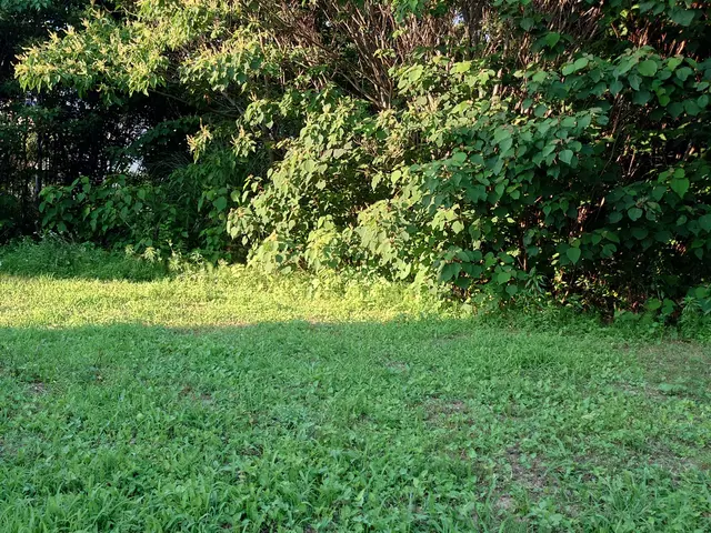 プロの技術でご満足いただけるように心を込めて作業いたしますサービスの画像