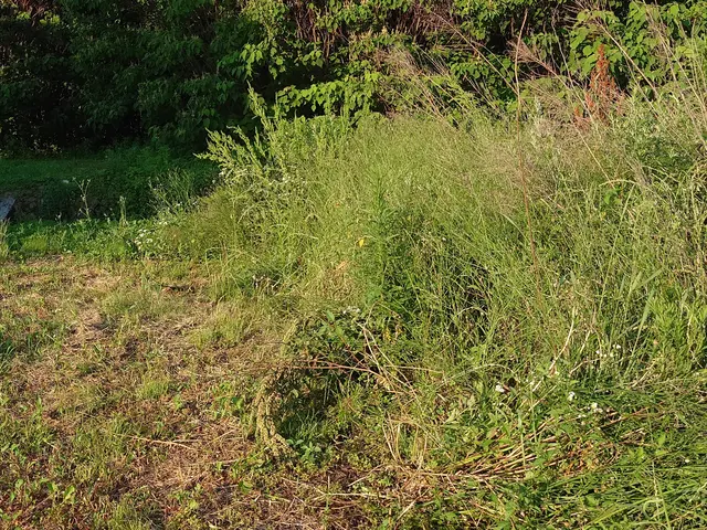 プロの技術でご満足いただけるように心を込めて作業いたしますサービスの画像