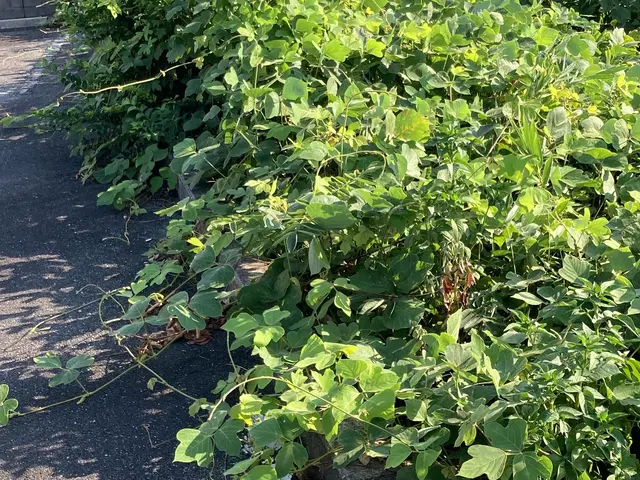 作業外注一切なし◎女性スタッフ同行OK！アフターケアーも万全！サービスの画像