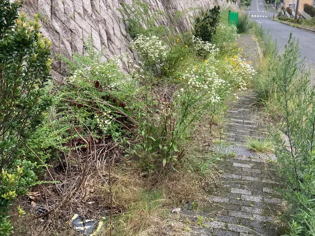 作業外注一切なし◎女性スタッフ同行OK！アフターケアーも万全！サービスの画像