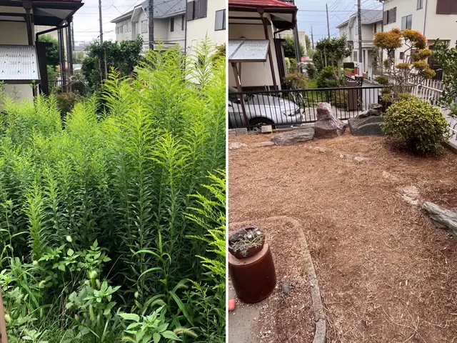 ★期間限定除草剤散布無料★サービスの画像