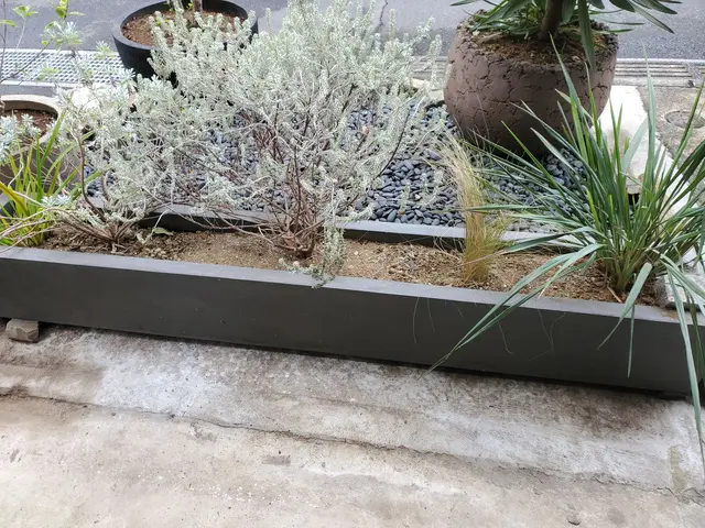 【親切・丁寧】作業外注一切なし！お庭のことはお任せください◎サービスの画像