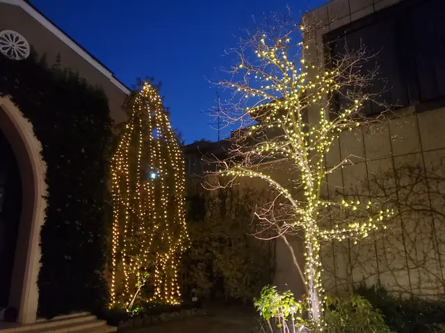 【親切・丁寧】作業外注一切なし！お庭のことはお任せください◎サービスの画像