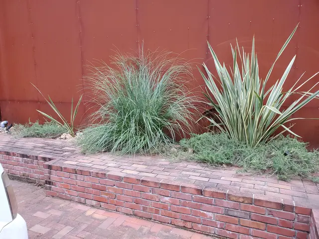 【親切・丁寧】作業外注一切なし！お庭のことはお任せください◎サービスの画像