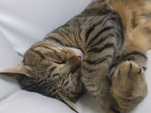 経験豊富な女性スタッフによる、安心の出張お世話サービスサービスの画像