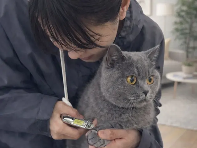 経験豊富な女性スタッフによる、安心の出張お世話サービス！松山市訪問ペットシッターサービスの画像