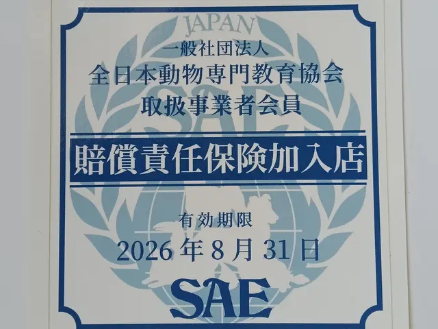 経験豊富な女性スタッフによる、安心の出張お世話サービスサービスの画像