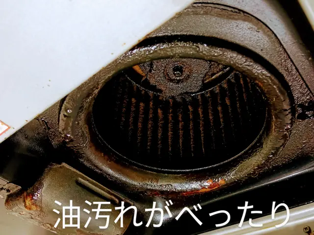 べっトリとして、いや～なレンジフードの頑固な油汚れをしっかり落として吸引力アップサービスの画像