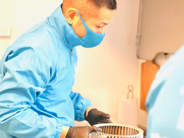 キッチンレンジフードおそうじサービスの画像