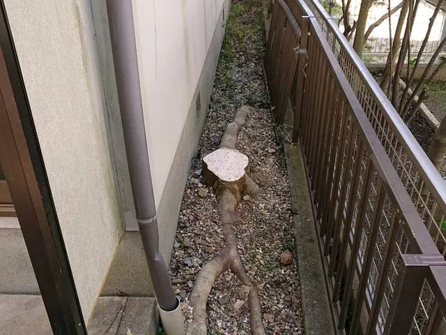 早めに台風対策を。家から飛び出した木、家の間の木､空き家等の伐採お任せください。サービスの画像