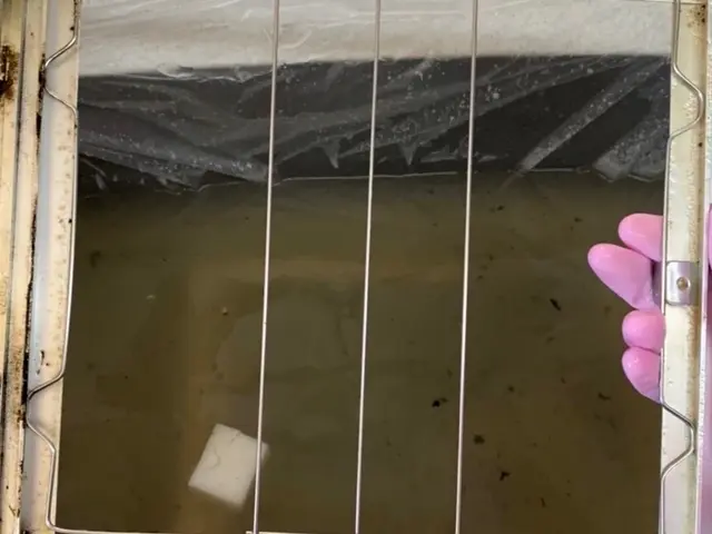 【女性スタッフ同行！】プロの技術で納得の仕上がり！ご要望にお応えします！サービスの画像