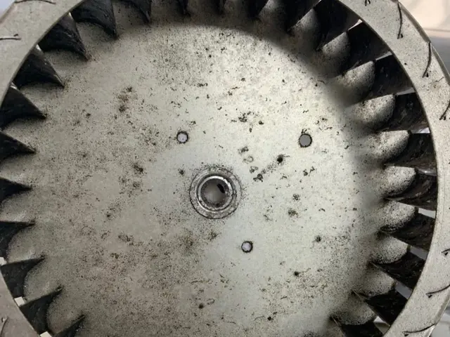 【女性スタッフ同行！】プロの技術で納得の仕上がり！ご要望にお応えします！サービスの画像