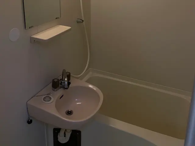 年末大掃除に向けての水周りクリーニングはいかがですか？迅速丁寧に作業いたします！サービスの画像