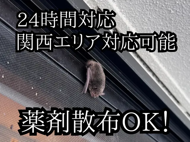 しつこさではコウモリに負けません！いなくなるまで付き合います。サービスの画像