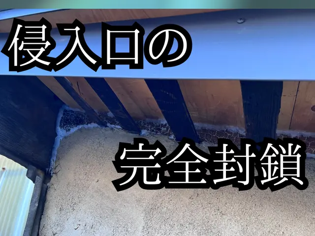 しつこさではコウモリに負けません！いなくなるまで付き合います。サービスの画像