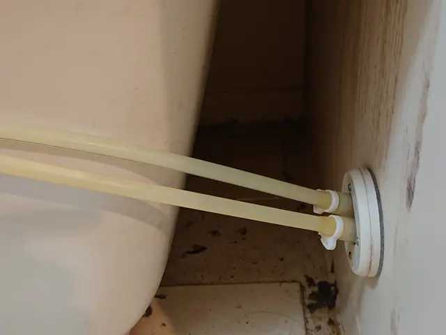 お写真の女性が長期休業になります。店長or店長とスタッフでのお伺いになります。サービスの画像