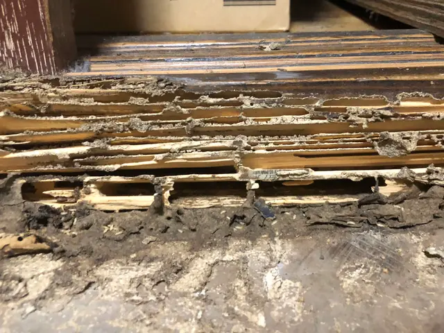 施工終わった後の追加料金等一切無し！安心価格！サービスの画像