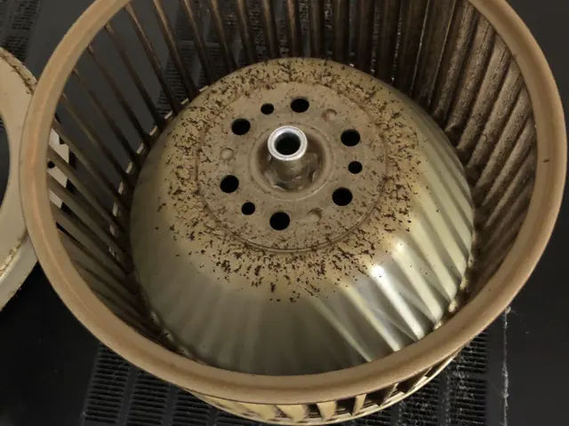 ファンの内側やファンも取り外してつけ置き洗浄をします。サービスの画像