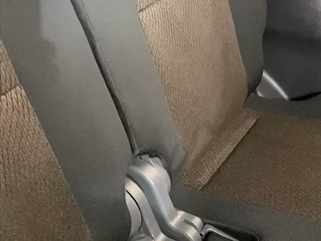 【27年の実績】シートも洗濯しませんか？　抗菌　抗ウィルス処理も今がチャンス！サービスの画像