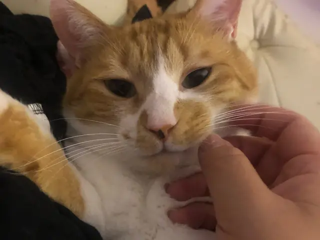 万全の研修体制◎損害保険加入済みで安心◎サービスの画像