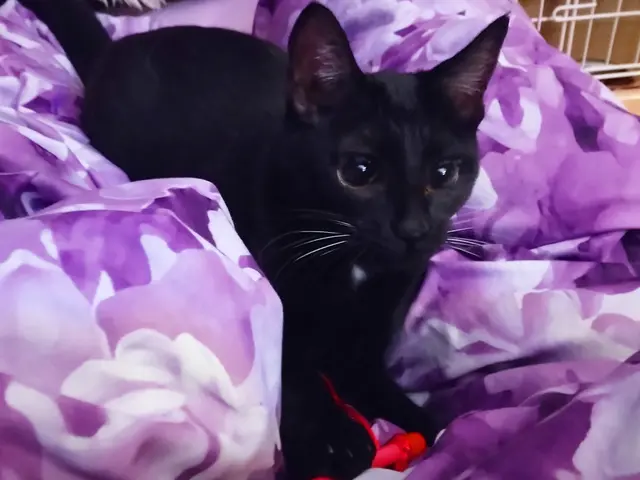 万全の研修体制◎損害保険加入済みで安心◎サービスの画像