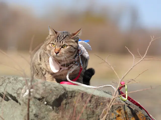 万全の研修体制◎損害保険加入済みで安心◎サービスの画像
