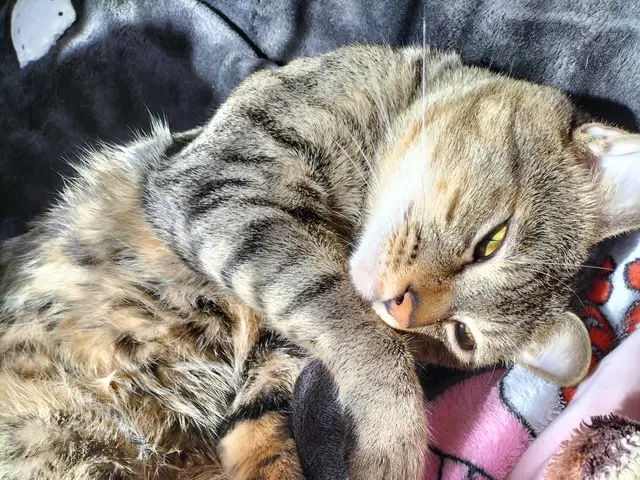 万全の研修体制◎損害保険加入済みで安心◎サービスの画像