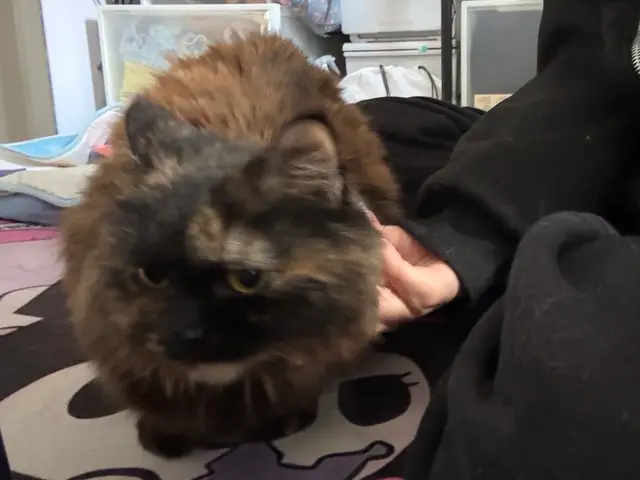 万全の研修体制◎損害保険加入済みで安心◎サービスの画像