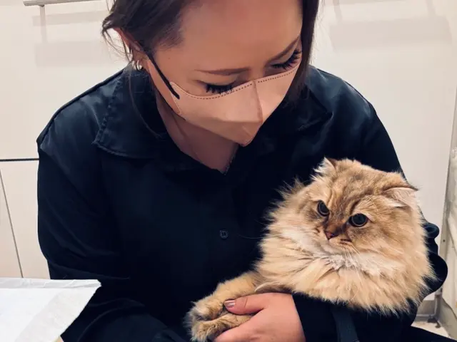 万全の研修体制◎損害保険加入済みで安心◎サービスの画像