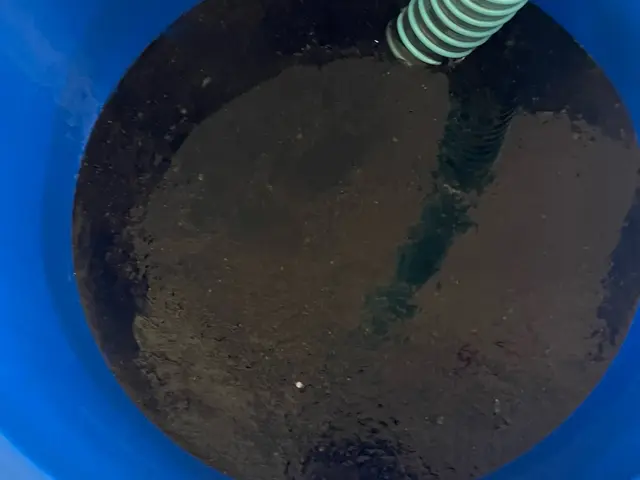 【抗菌コート無料キャンペーン】高圧洗浄２度洗いで、徹底的にカビを落とします！サービスの画像