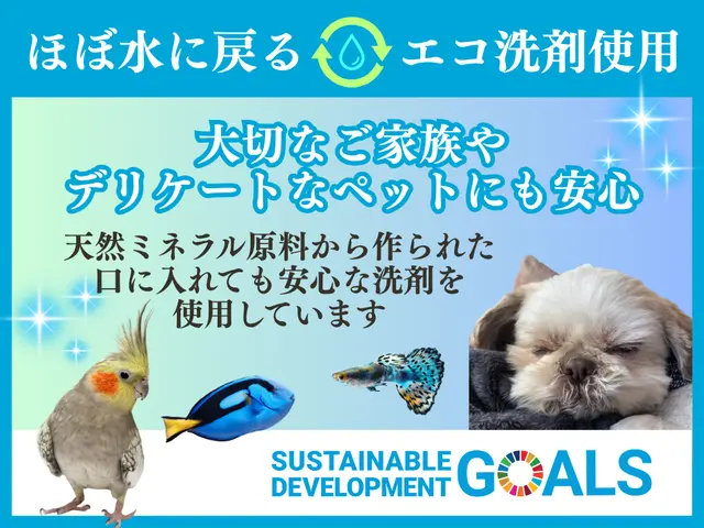 ✿品質保証☆天然ミネラル原料☆エコ洗剤／福岡・神戸・名古屋・東京支店あり人気店✿サービスの画像