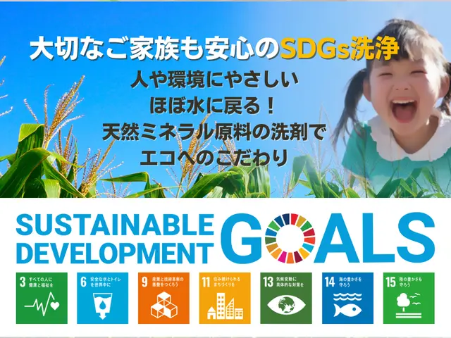 ほぼ水に戻る！天然ミネラル原料のエコ洗剤★株式会社法人だから安心◎PayPay◎サービスの画像