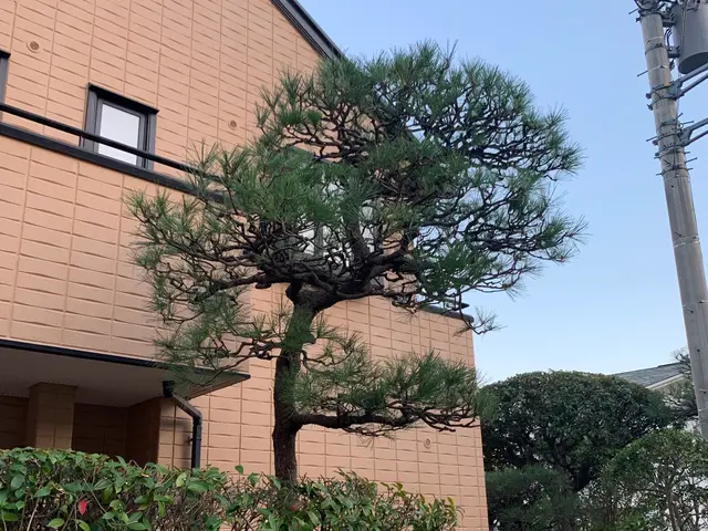 【業歴10年！】お客様のどのようなニーズにも答えられる確かな技術を提供します！サービスの画像