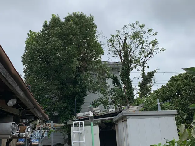 【業歴10年！】お客様のどのようなニーズにも答えられる確かな技術を提供します！サービスの画像