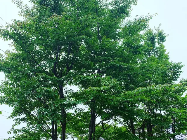 【業歴10年！】お客様のどのようなニーズにも答えられる確かな技術を提供します！サービスの画像