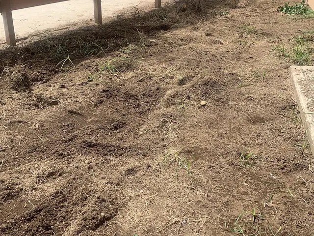 プロの技術でご満足いただけるように心を込めて作業いたしますサービスの画像