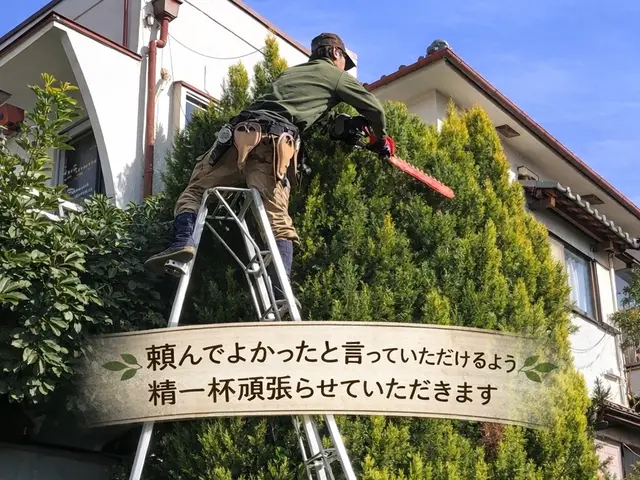 ☆２０２６年２月オープン☆造園一筋15年以上！お庭のお手入れお任せください！サービスの画像